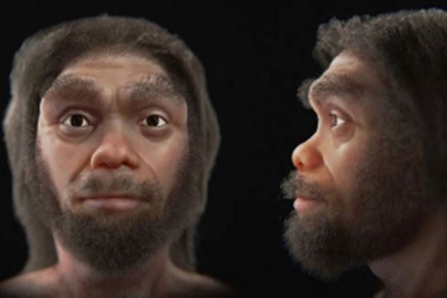 Phục dựng mô phỏng chân dung Người Rồng - họ hàng gần nhất của con người