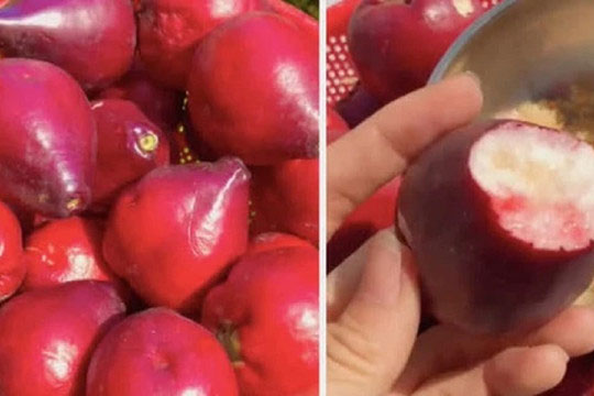 Clip: Loại quả lạ ở miền Tây khiến ai cũng nhầm lẫn khi lần đầu nhìn thấy
