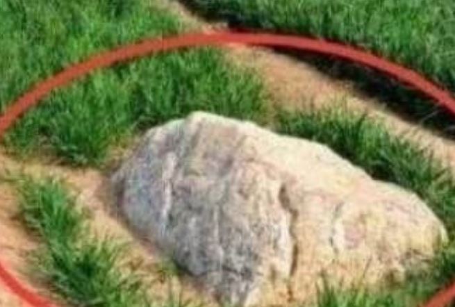 Ngọn núi nhỏ nhất thế giới, chỉ 0,6 mét nhưng không ai dám leo lên! Tại sao thế này