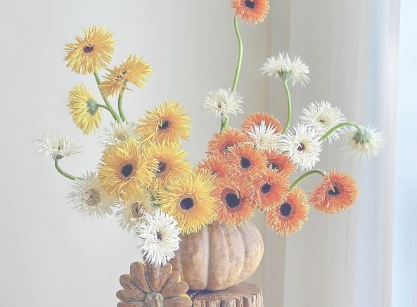 Tử vi hàng ngày - Thứ Ba 2/1/2024 của 12 cung hoàng đạo