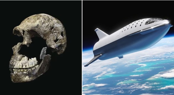 Hóa thạch xương người 2 triệu tuổi bay vào vũ trụ cùng 1 vị tỷ phú, các nhà khoa học tranh cãi kịch liệt