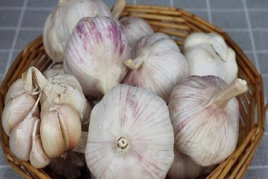 Đều là tỏi, loại vỏ tím tốt hơn hay loại vỏ trắng tốt hơn, người trồng tỏi vô tình nói lỡ miệng, sau này đừng mua nhầm