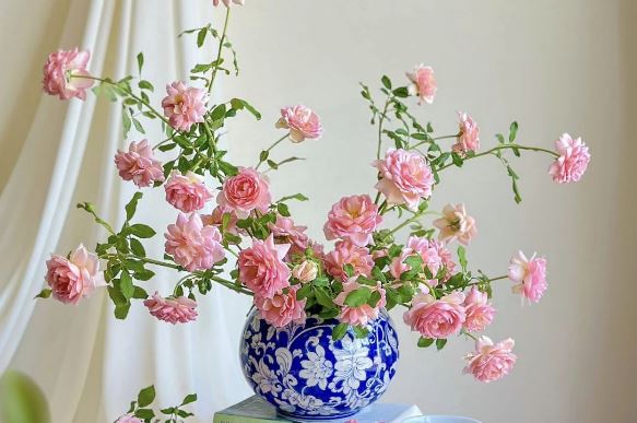 Tử vi hàng ngày - Thứ Tư 3/1/2024 của 12 cung hoàng đạo