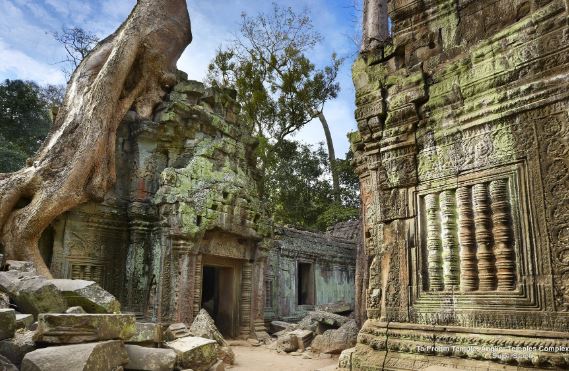 Campuchia: 6 báu vật sa thạch lộ diện ở nơi bất ngờ