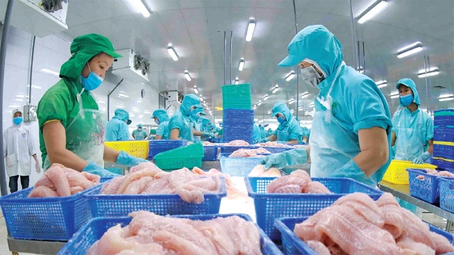 10 nhận định đáng chú ý về xuất khẩu thuỷ sản năm 2024