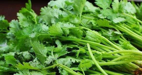 Rau mùi và nó là 'kẻ thù không đội trời chung', nếu ăn chung có thể nuôi 'tế bào ung thư'