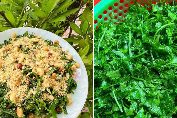Rau dại mọc đầy trong rừng bất ngờ thành đặc sản, bán 'đắt như tôm tươi'