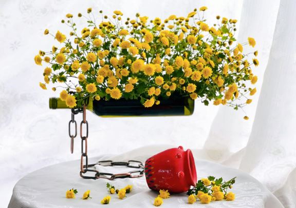 Tử vi hàng ngày - Thứ Bảy 6/1/2024 của 12 cung hoàng đạo