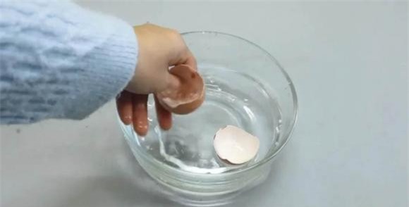 vo-trung (1).jpeg 0 vỏ trứng gà, đuổi côn trùng, kiến, mẹo hay