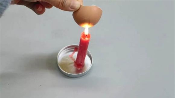 vo-trung (1).jpeg 1 vỏ trứng gà, đuổi côn trùng, kiến, mẹo hay