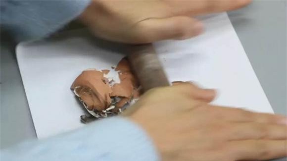 vo-trung (1).jpeg 2 vỏ trứng gà, đuổi côn trùng, kiến, mẹo hay