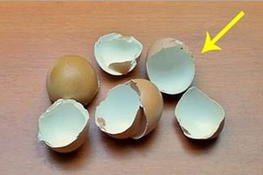Đừng vội vứt bỏ vỏ trứng, những tác dụng 'kỳ diệu' này có thể giúp ích rất nhiều, tiết kiệm chi phí và dễ sử dụng, cùng xem nhé