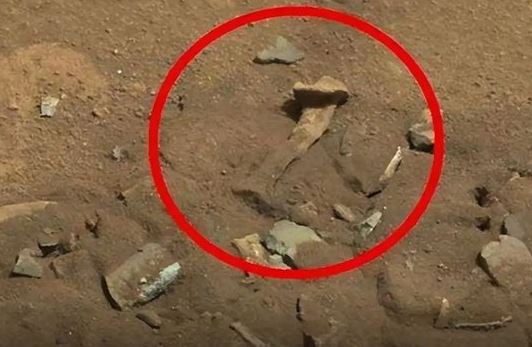 Sự thật bất ngờ về việc phát hiện hình ảnh người ngoài hành tinh trên sao Hỏa