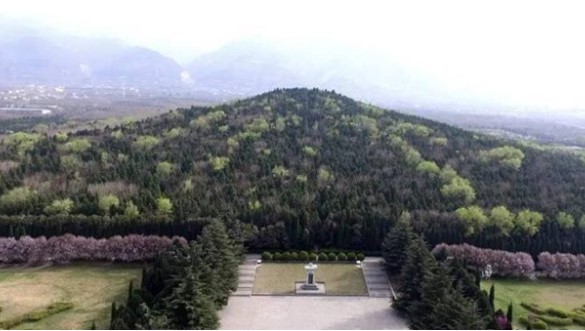 Giải mã bí ẩn: Giữa lăng mộ Tần Thủy Hoàng mọc lên 1 cây xanh, sự thật đằng sau khiến ai cũng choáng