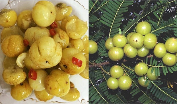 Núi rừng Tây Bắc Việt Nam có một loại quả được hội chị em ‘săn lùng’ vì hương vị độc lạ