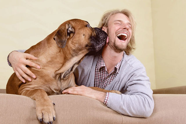 Nhà thần kinh học giải đáp lý do chó có thể hiểu được tiếng người