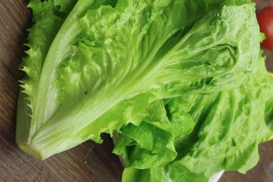 Ăn rau xà lách có 2 lợi ích lớn đang chờ đón bạn, nhưng 3 điều cấm kỵ cần bạn chú ý