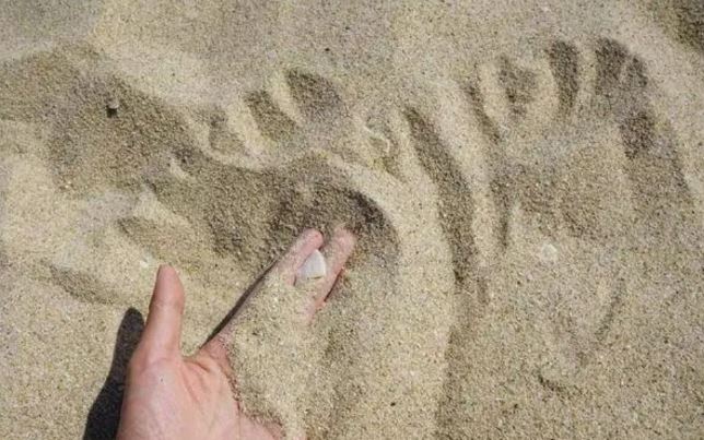 
Sa mạc nhiều cát, sao không dùng để xây nhà? Đọc xong mới ngộ ra nhiều kiến thức!