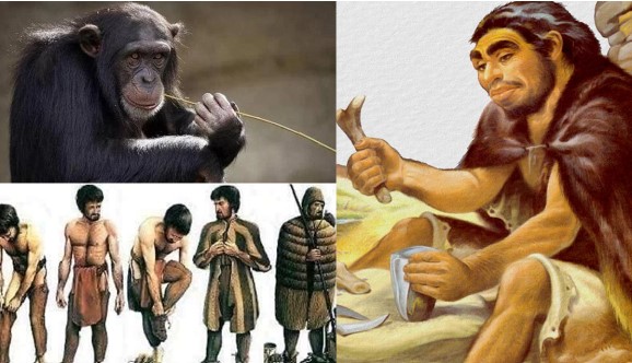 Lý do chỉ con người cần mặc quần áo để giữ ấm, bất ngờ nguyên nhân nam hay nữ đều có lông nách