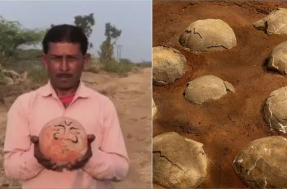 'Quả cầu đá' bí ẩn được nhiều thế hệ vùng nông thôn tôn thờ, chuyên gia tiết lộ sự thật, hóa ra là kho báu có từ 175 triệu năm trước