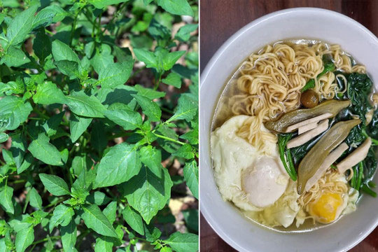 Loại rau dại này chẳng trồng mà mọc đầy vườn hóa ra lại có thể biến tấu thành loạt món ngon