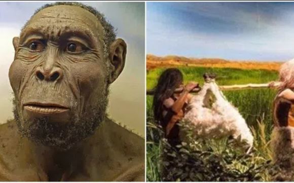 Bí ẩn về người đàn ông đầu tiên xuất hiện trên Trái Đất, tiến hóa từ cùng 1 tổ tiên với vượn?