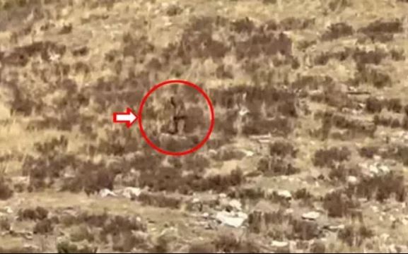 Đang mải mê tâm sự, một cặp đôi sững sờ khi tận mắt thấy quái vật Bigfoot bí ẩn nhất hành tinh