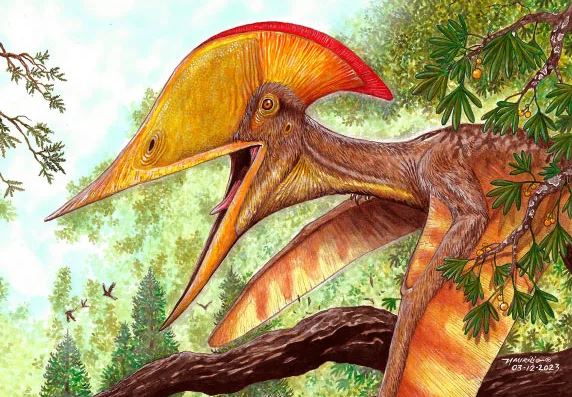 Xuất hiện loài 'quái vật bay' chưa từng thấy ở Liêu Ninh - Trung Quốc