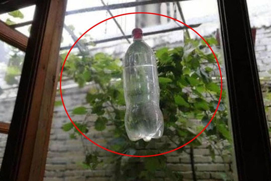 Bạn có biết lý do túi nước treo trên cửa không, đây không phải là 'để xua đuổi tà ma', mà là mẹo hay để đuổi muỗi