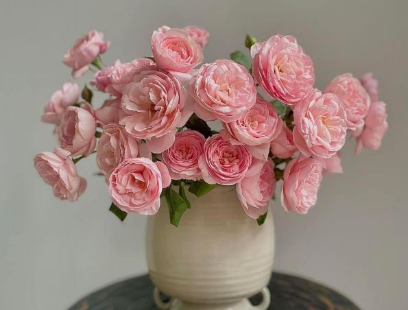 Tử vi hàng ngày - Thứ Sáu 12/1/2024 của 12 cung hoàng đạo