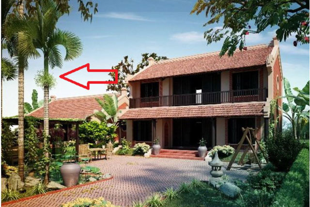 Các cụ dặn: Nghèo mấy cũng đừng chặt bỏ 3 loại cây này càng trồng càng giàu có, đời đời phú quý