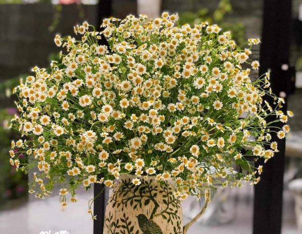 Tử vi hàng ngày - Thứ Bảy 13/1/2024 của 12 cung hoàng đạo