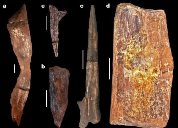 Hiện vật gỗ lâu đời nhất thế giới, có 500 nghìn năm tuổi và bí ẩn đằng sau liên quan tới tổ tiên loài người