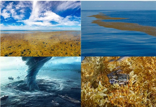 Biển duy nhất trên thế giới không có bờ: Các con tàu biến mất kỳ lạ rồi được tìm thấy nhưng không còn thủy thủ