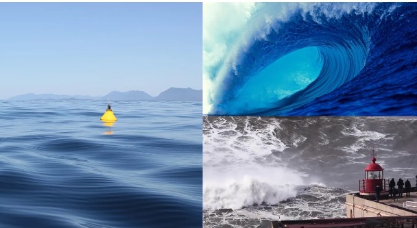 &#x2018;Qu&#xE1;i v&#x1EAD;t bi&#x1EC3;n c&#x1EA3;&#x27; cao g&#x1EA7;n 18 m&#xE9;t ngh&#xEC;n n&#x103;m m&#x1EDB;i xu&#x1EA5;t hi&#x1EC7;n m&#x1ED9;t l&#x1EA7;n, c&#x1EA3; th&#x1EBF; gi&#x1EDB;i &#x111;au &#x111;&#x1EA7;u t&#xEC;m nguy&#xEA;n nh&#xE2;n