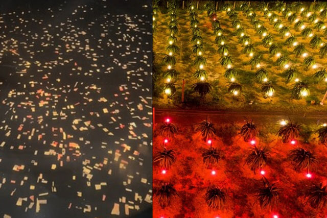 Du khách nước ngoài sửng sốt trước khung cảnh ảo diệu như cổ tích khi bay qua Việt Nam, sự thật là gì?