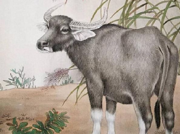 4 nhóm con giáp này kết đôi, hôn nhân hạnh phúc và tài lộc 'tràn trề'