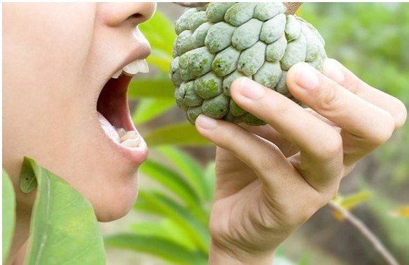 Một bộ phận bên trong quả na gây ngộ độc, thậm chí là mù mắt, 90% người ăn chủ quan vì không biết