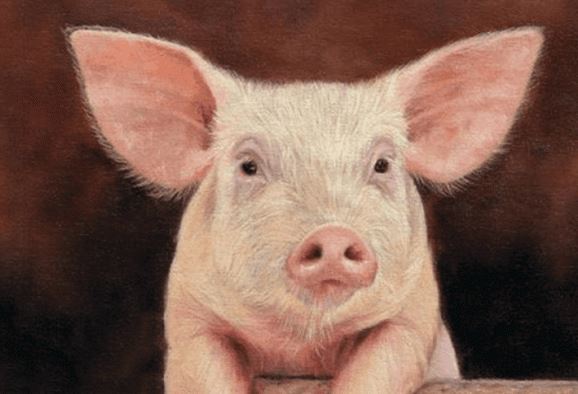 Càng lấy chồng muộn con giáp nữ này càng hưởng được nhiều phúc đức, hôn nhân viên mãn, giàu có không ai sánh bằng