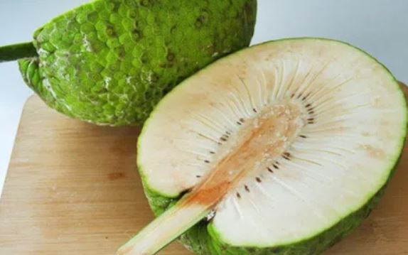 Giải mã loài cây có 'siêu năng lực': 1 cây có thể nuôi sống một người nửa năm, ở Việt Nam cũng trồng