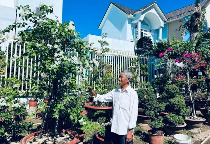 Nghệ nhân làng hoa kiểng Phó Thọ (Bà Bộ) TP Cần Thơ chăm sóc vườn cây kiểng đón Tết.