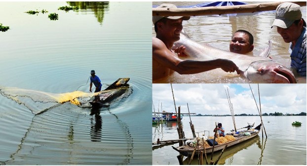Con sông ngắn nhất Việt Nam, là thủy phận của loài ‘quái ngư’ quý hiếm trên thế giới