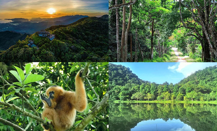 Thông tin về Vườn quốc gia duy nhất của Việt Nam 5 năm liên tiếp lọt top hàng đầu châu Á