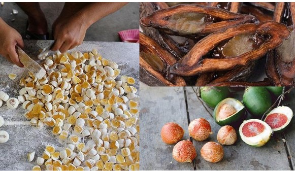 Loại quả rẻ tiền ở Việt Nam, ít người ăn được, sang nước ngoài lại được săn đón với mức giá khó tin