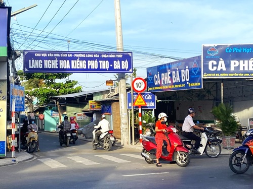 Làng hoa trăm tuổi Cần Thơ chuẩn bị đón Tết 