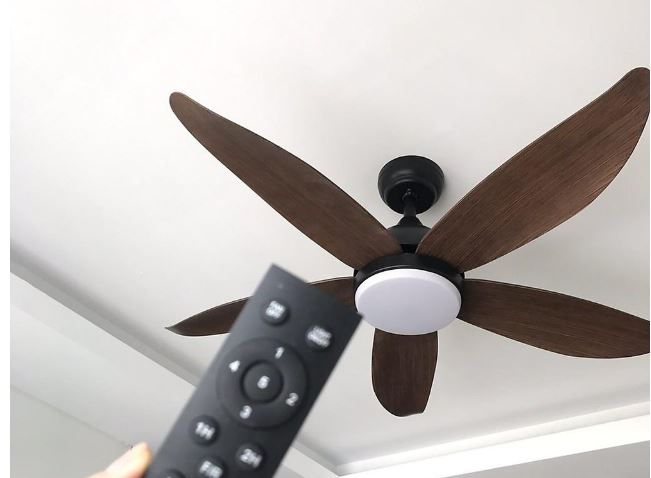 Quạt 3 cánh hay 5 cánh thì làm mát tốt hơn? Tại sao cánh quạt thường là số lẻ?