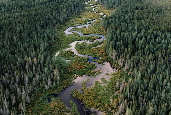 Bí ẩn kho báu kim loại nằm sâu dưới 'Vành đai lửa', có thể quyết định tương lai ngành công nghiệp xe điện
