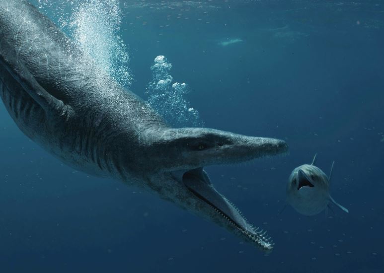 Phát hiện hóa thạch hộp sọ khổng lồ của loài quái vật biển hung dữ nhất kỷ Jura