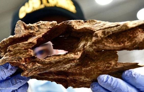 'Gỗ của các vị thần' xuất hiện khắp Việt Nam: Chất lượng số 1 thế giới, giới thượng lưu nước ngoài đổ xô săn lùng