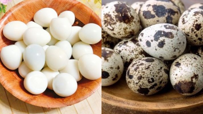 Thực phẩm được xem là 'nhân sâm của động vật': Phụ nữ mê đắm, chữa bệnh của đàn ông với 2 quả/1 ngày